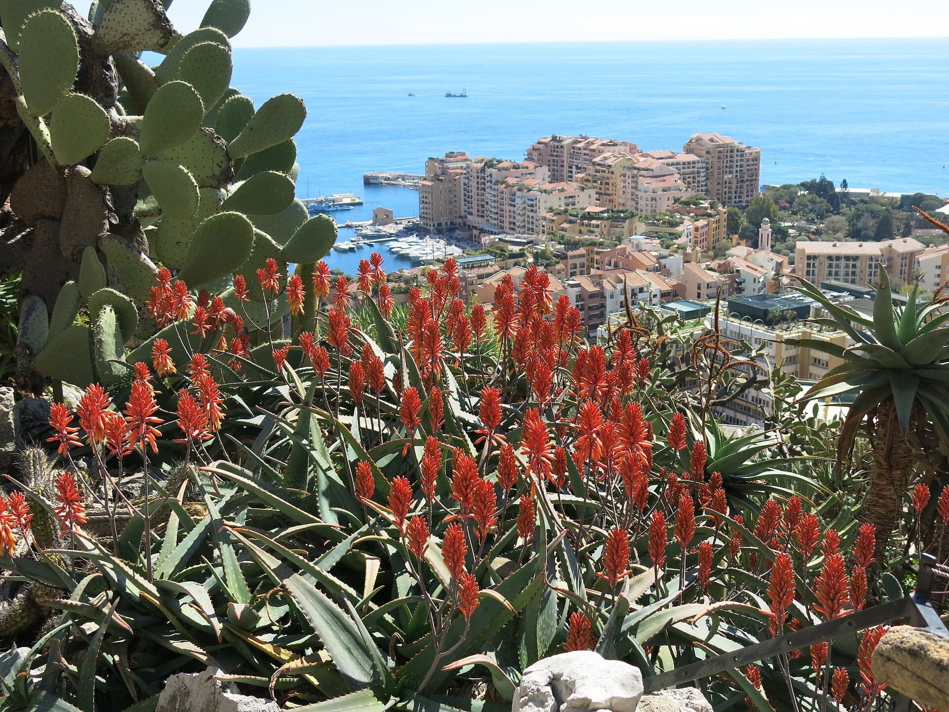 Jardin Exotique, Monaco